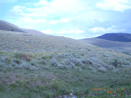 Photo not available