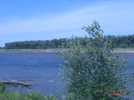 Photo not available