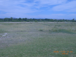 Photo not available